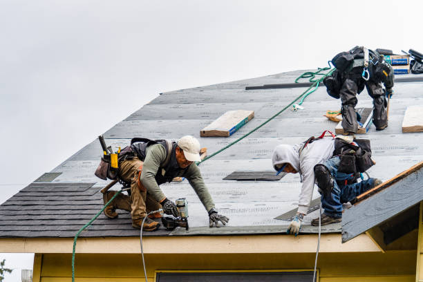 Professional Gutter Installation technician working in Purlear, NC